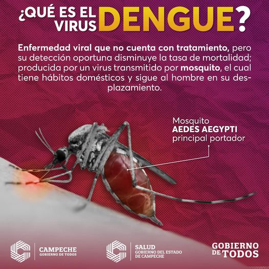 Que Es El Dengue En